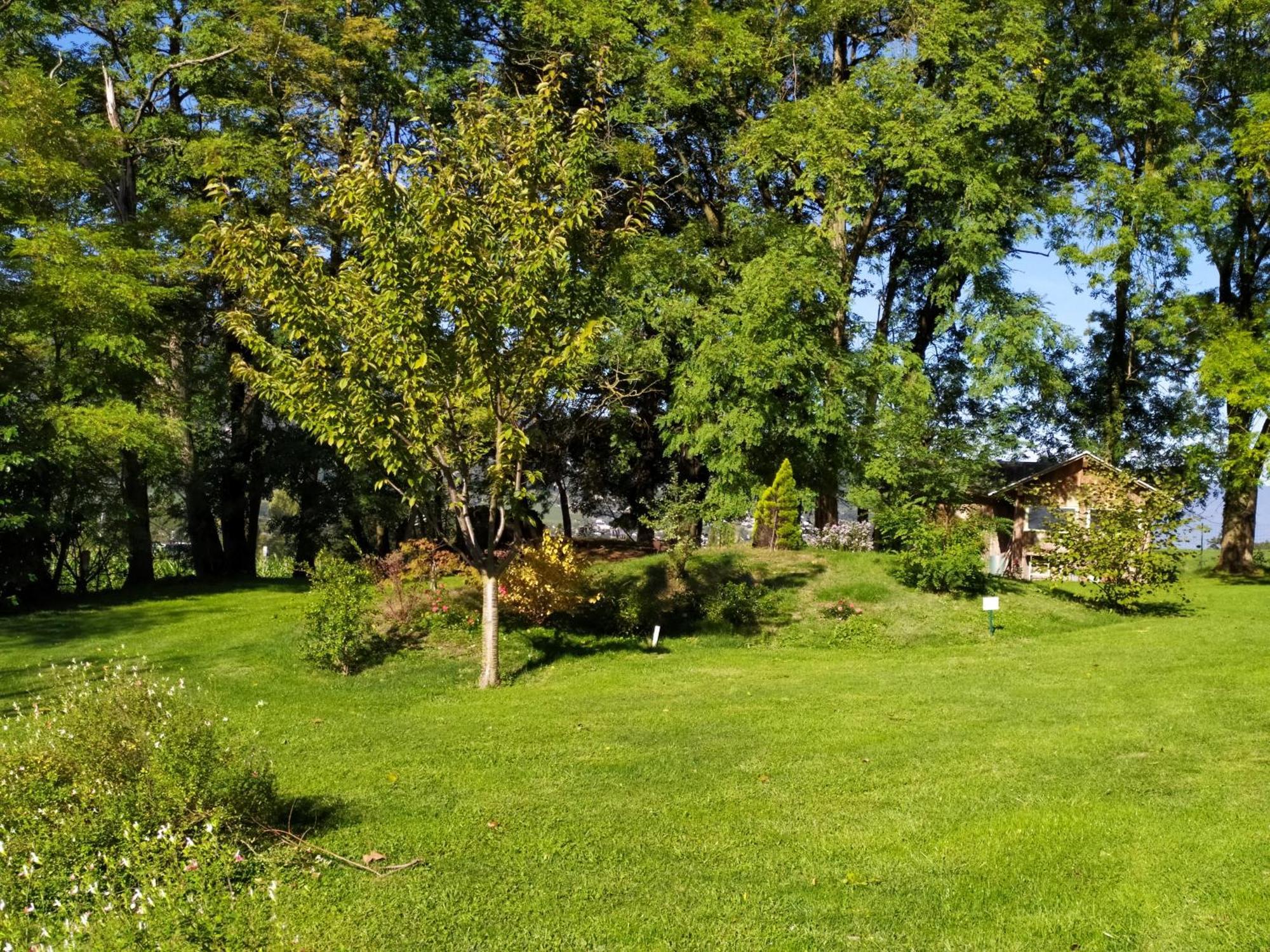 Gite Arthur Et Germaine Maisonnette A La Campagne Avec Un Grand Jardin Saint-Jeoire-Prieure Esterno foto